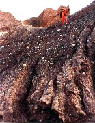 Andy McDougal; Chimney Bluffs day trips